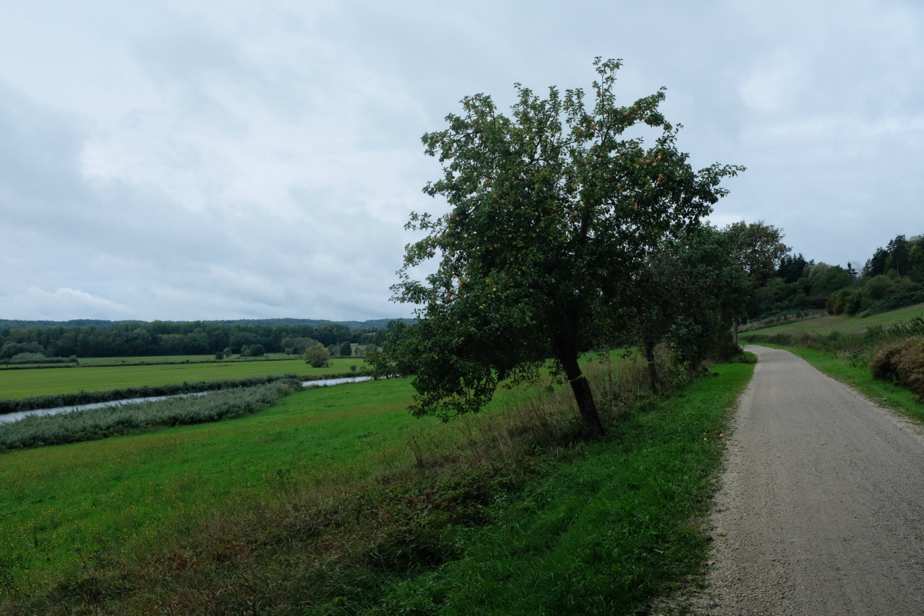 Apfelbaumweg