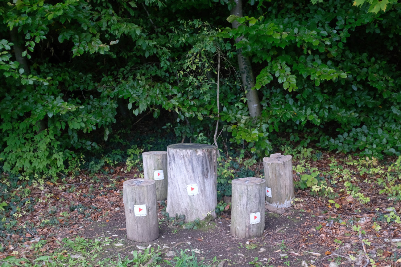 Sitz-Wegweiser