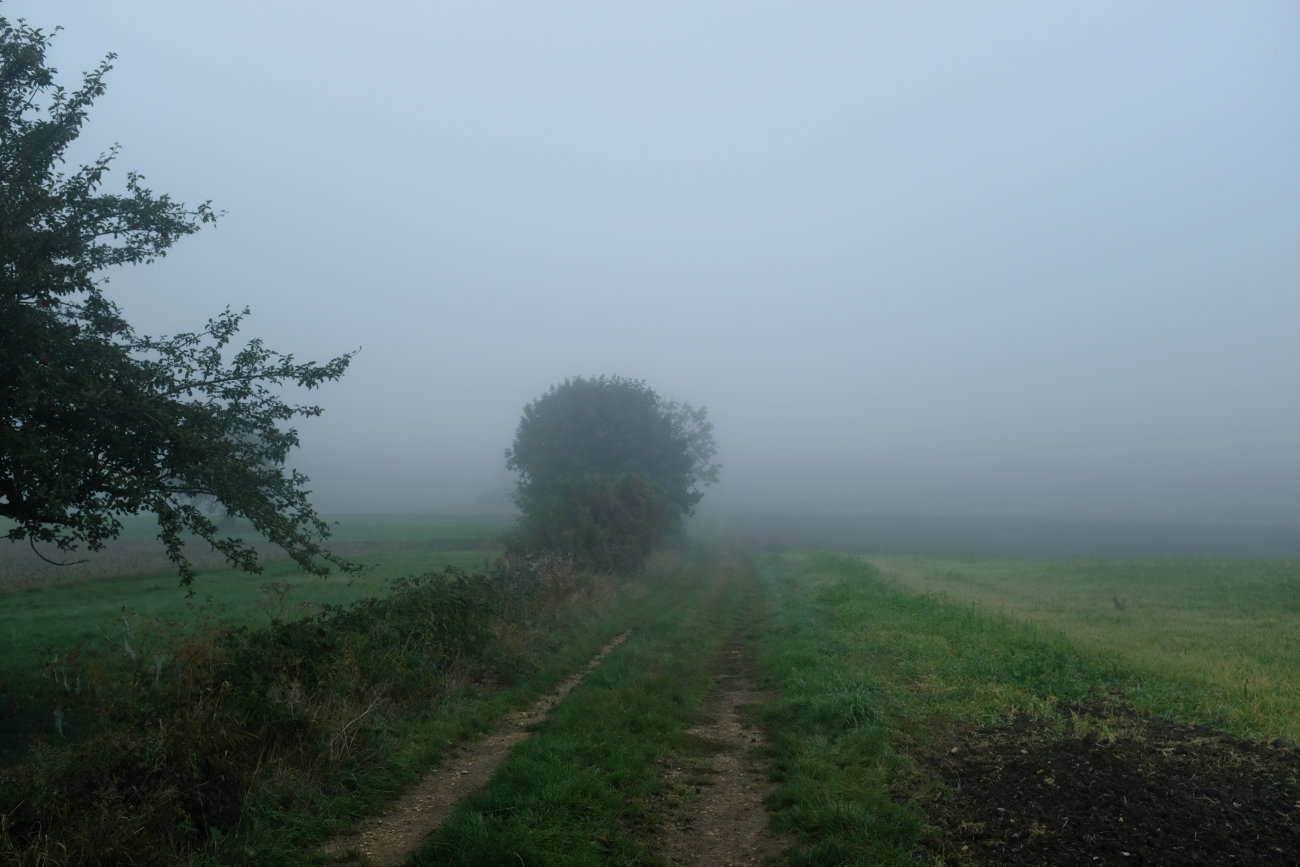 Nebelweg