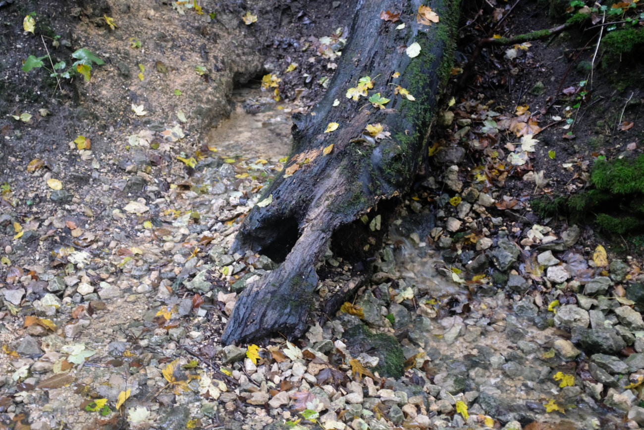 Zufluß