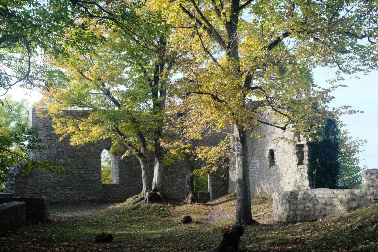 Ruine Burg Rauber