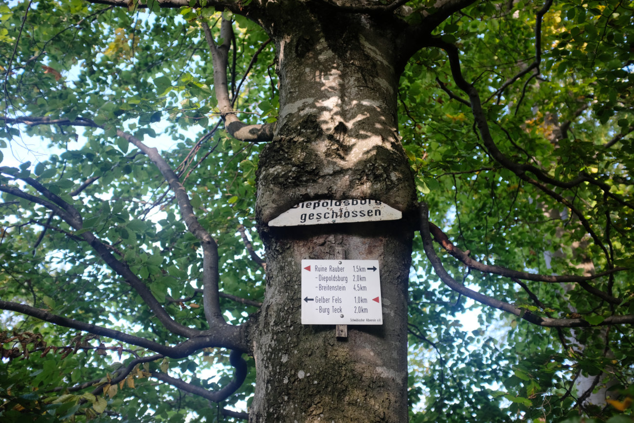 Baumschild