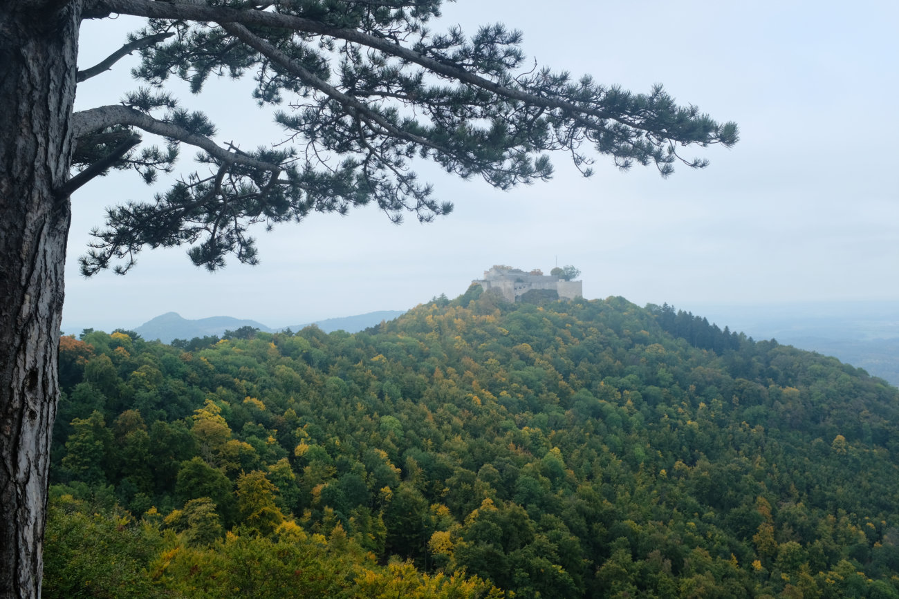 Burg Hohenneuffen