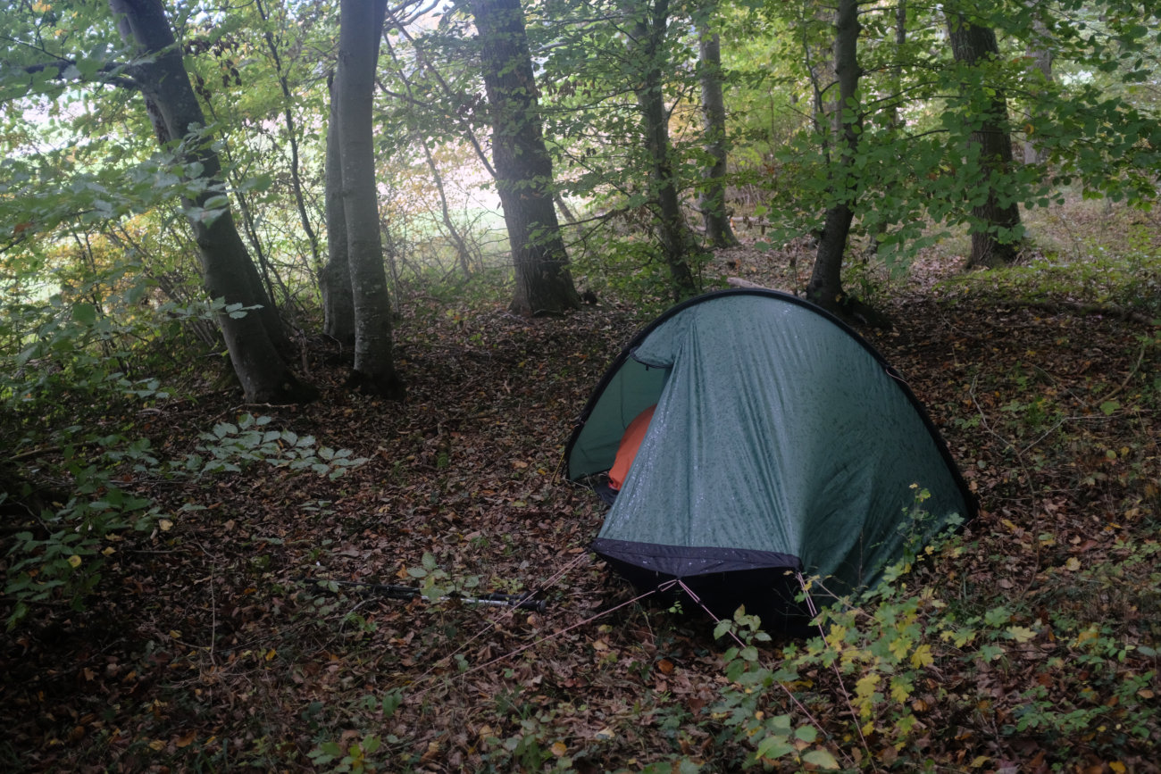 Wald vor Genkingen