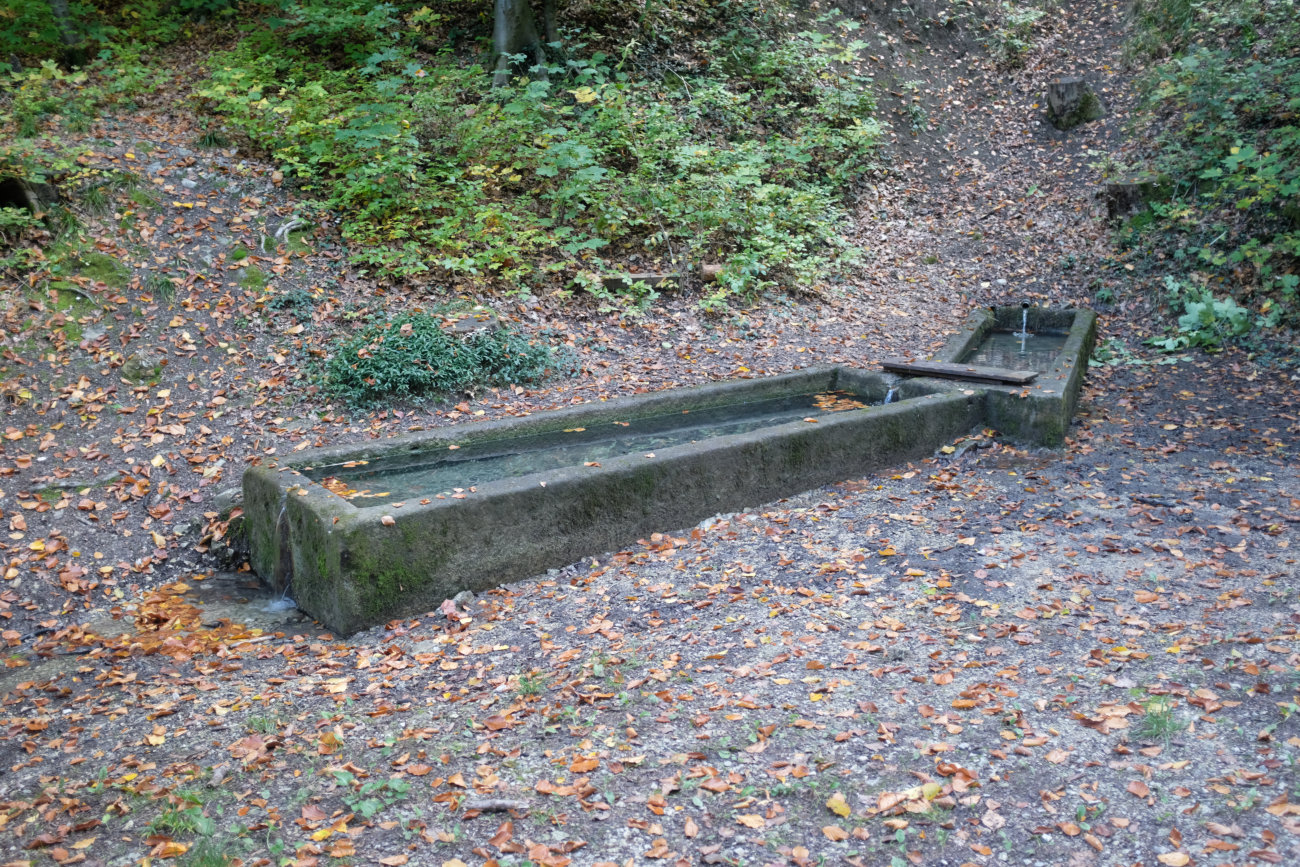 Buchbrunnen