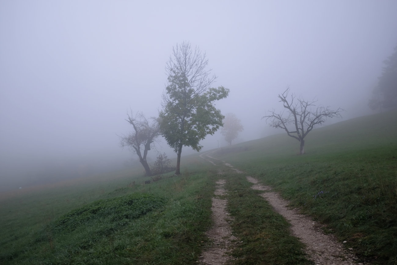 Morgennebel