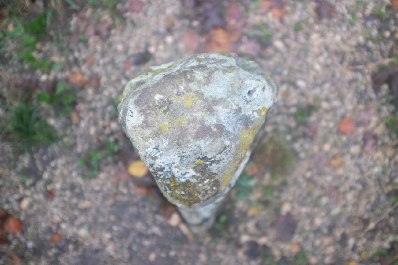 Dreifürstenstein