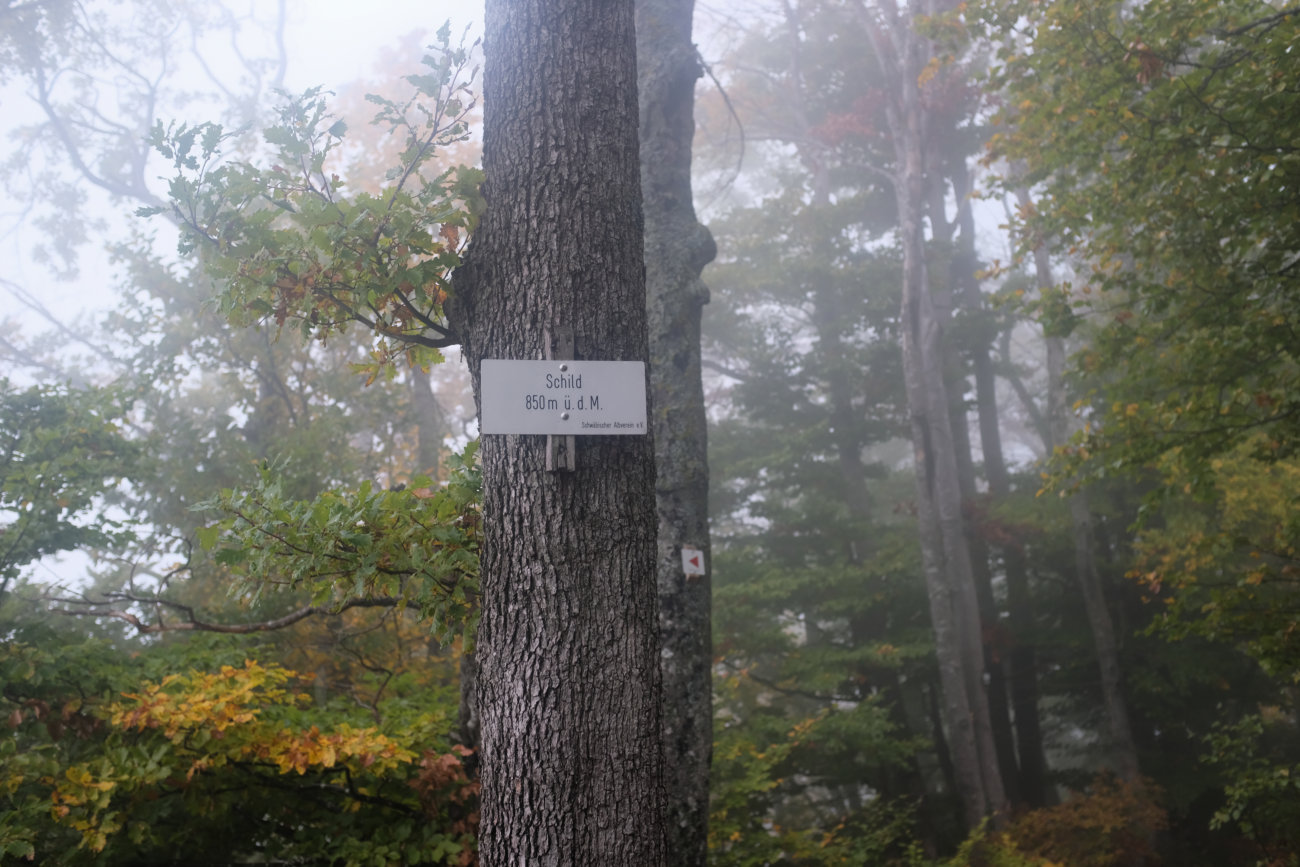Schild