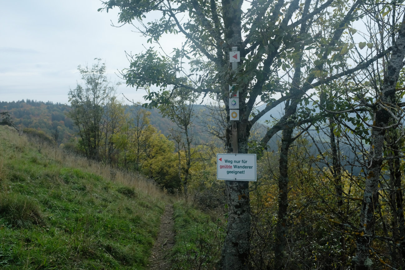 Wandererschild