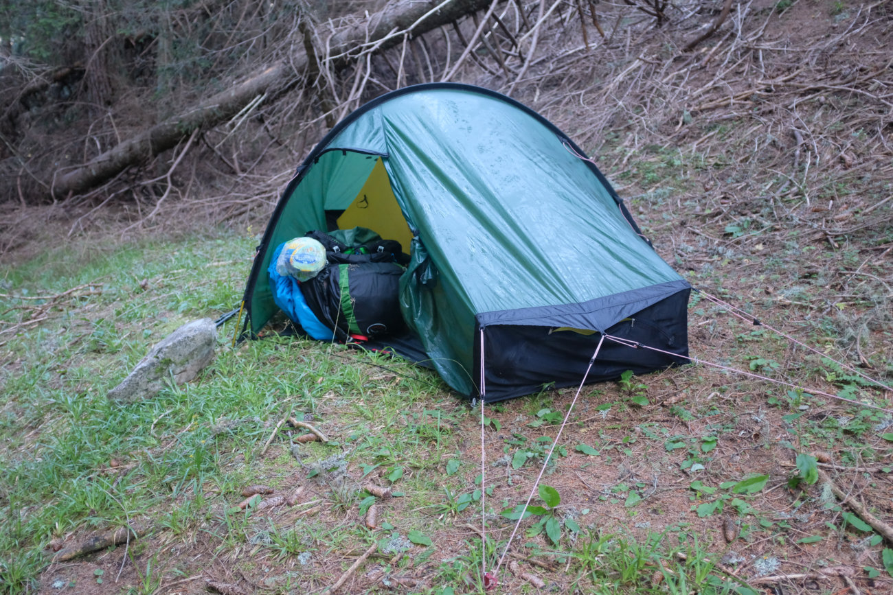 Zelt im Wald