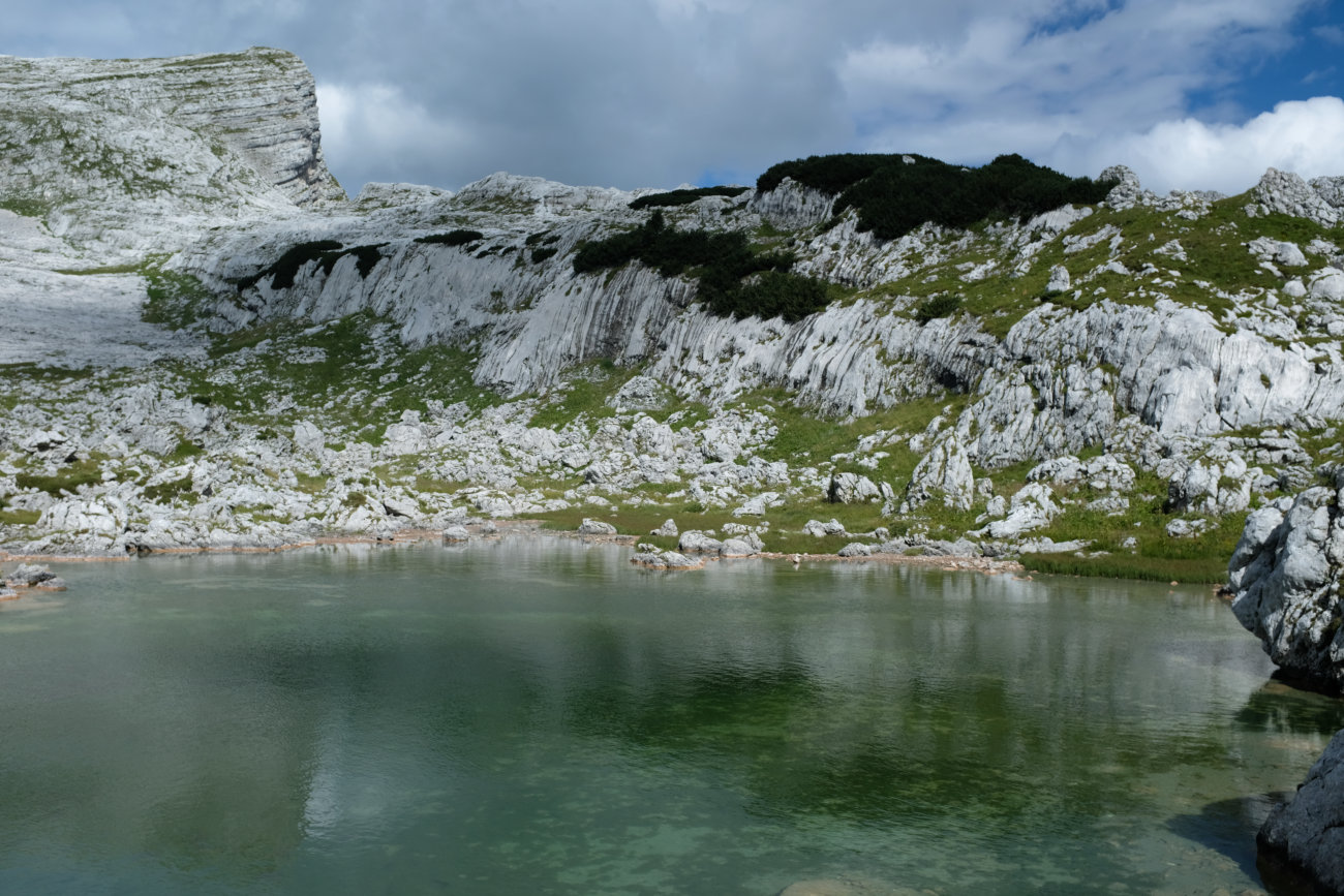 Grüner See