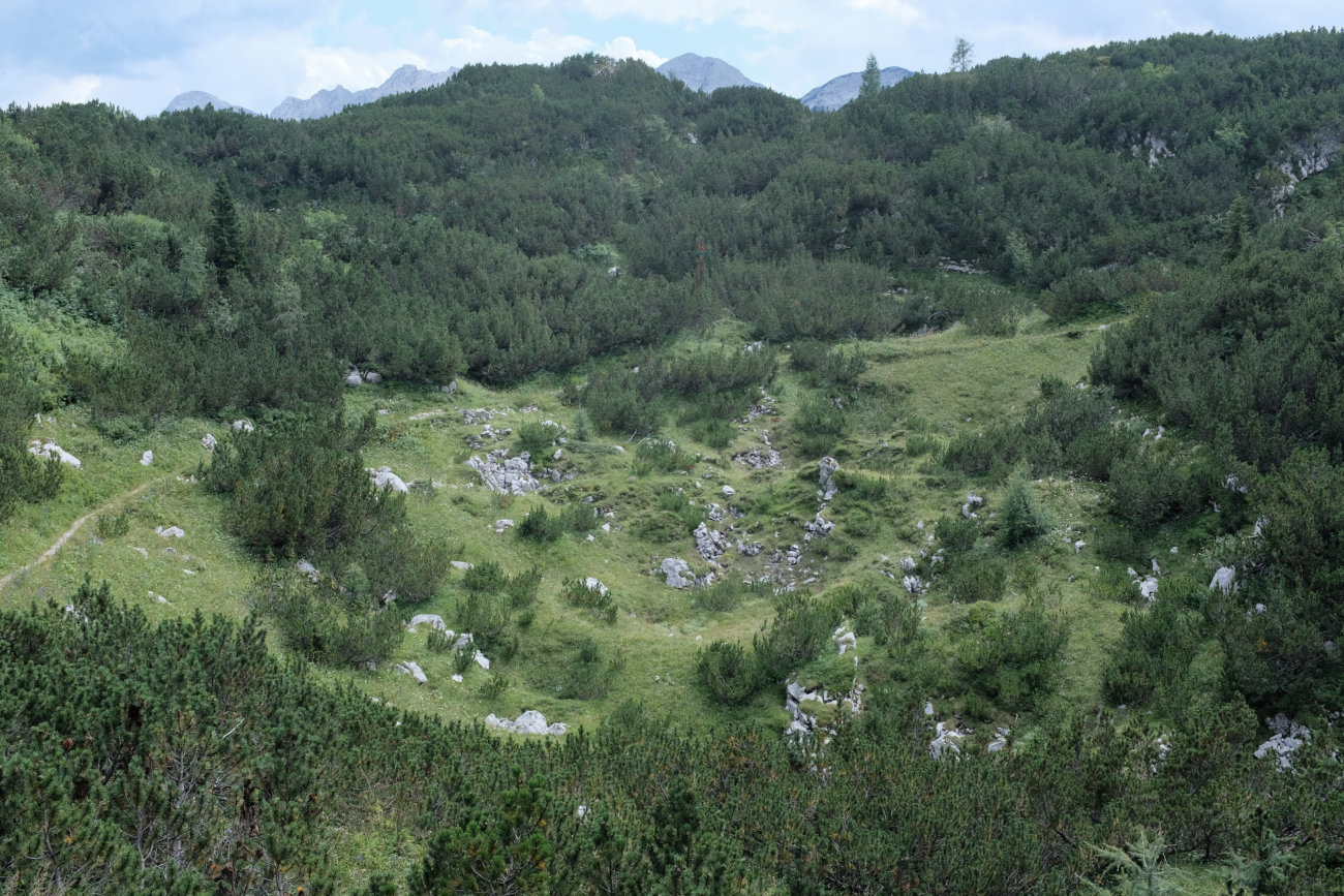 Karst