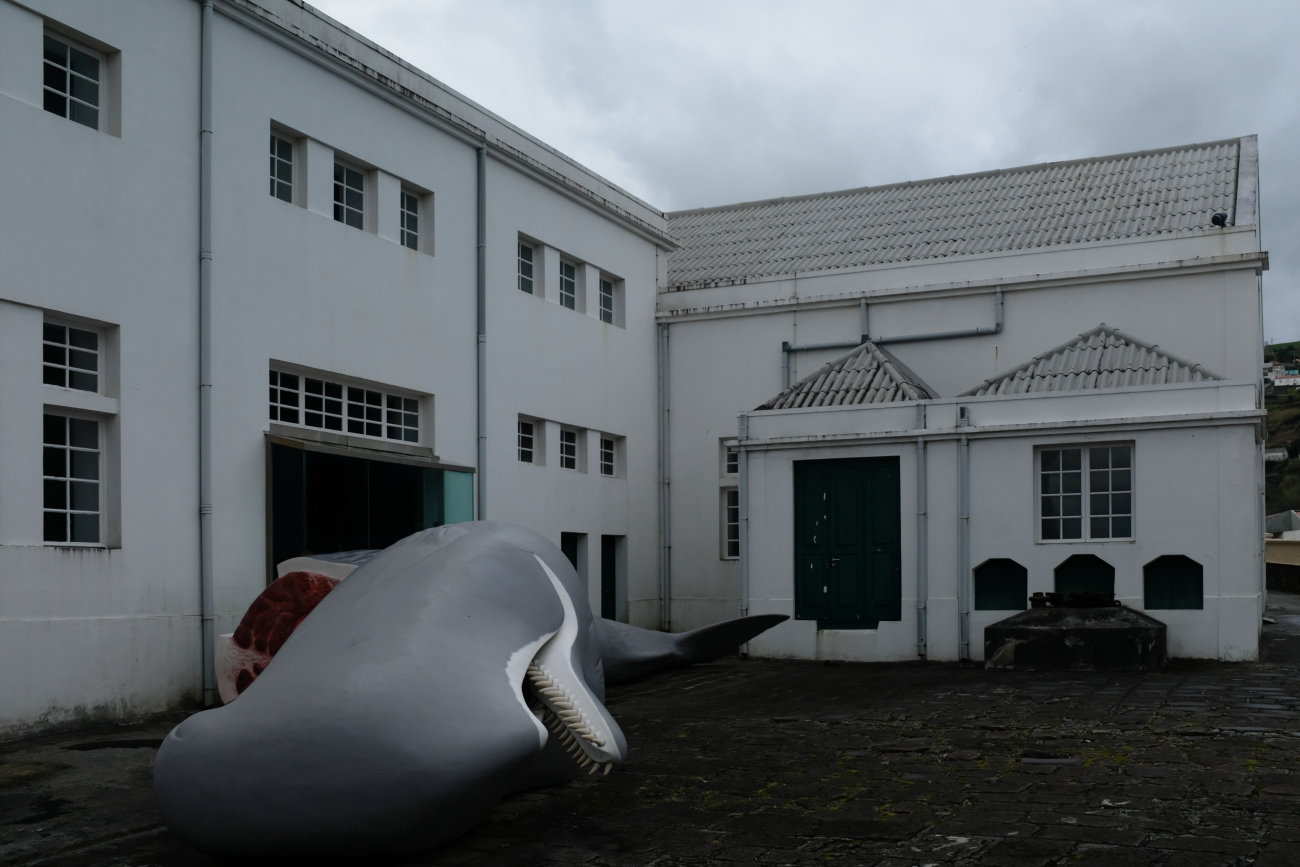 Walfangmuseum