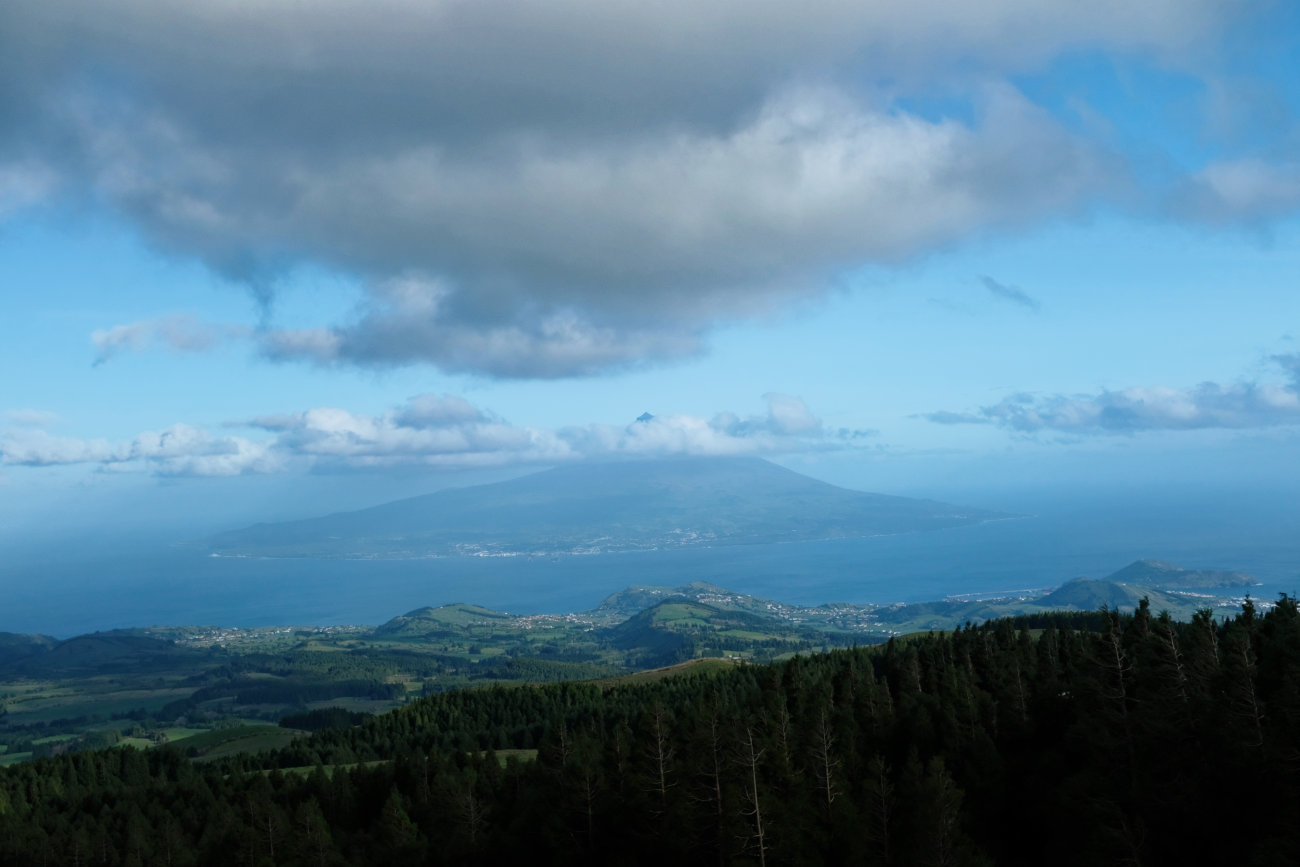 Pico-Blick