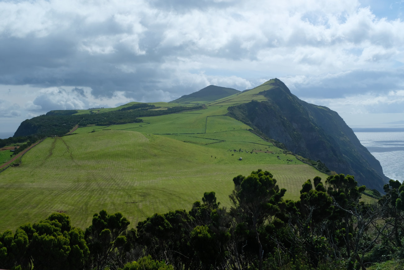 Ostblick