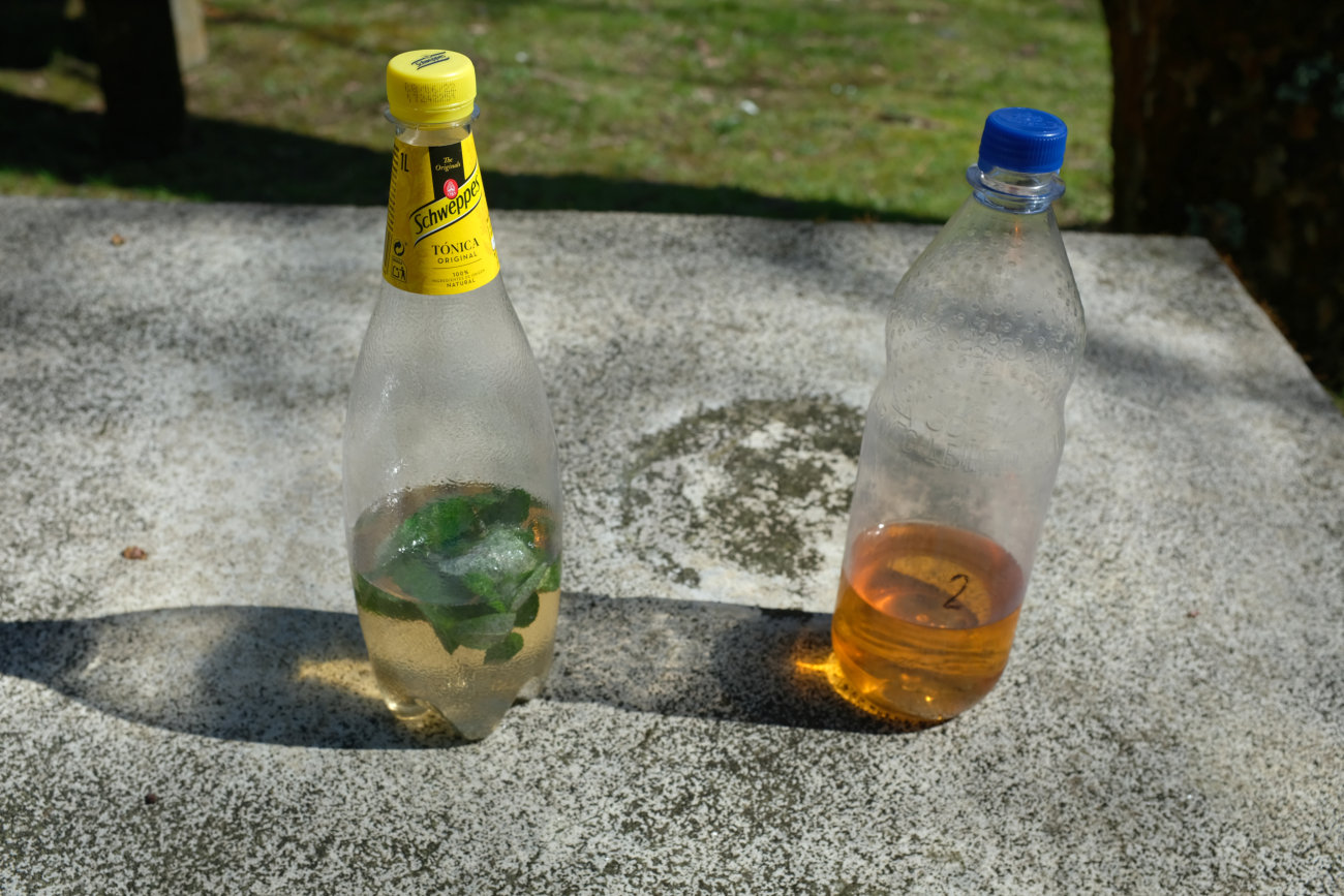 Coctail