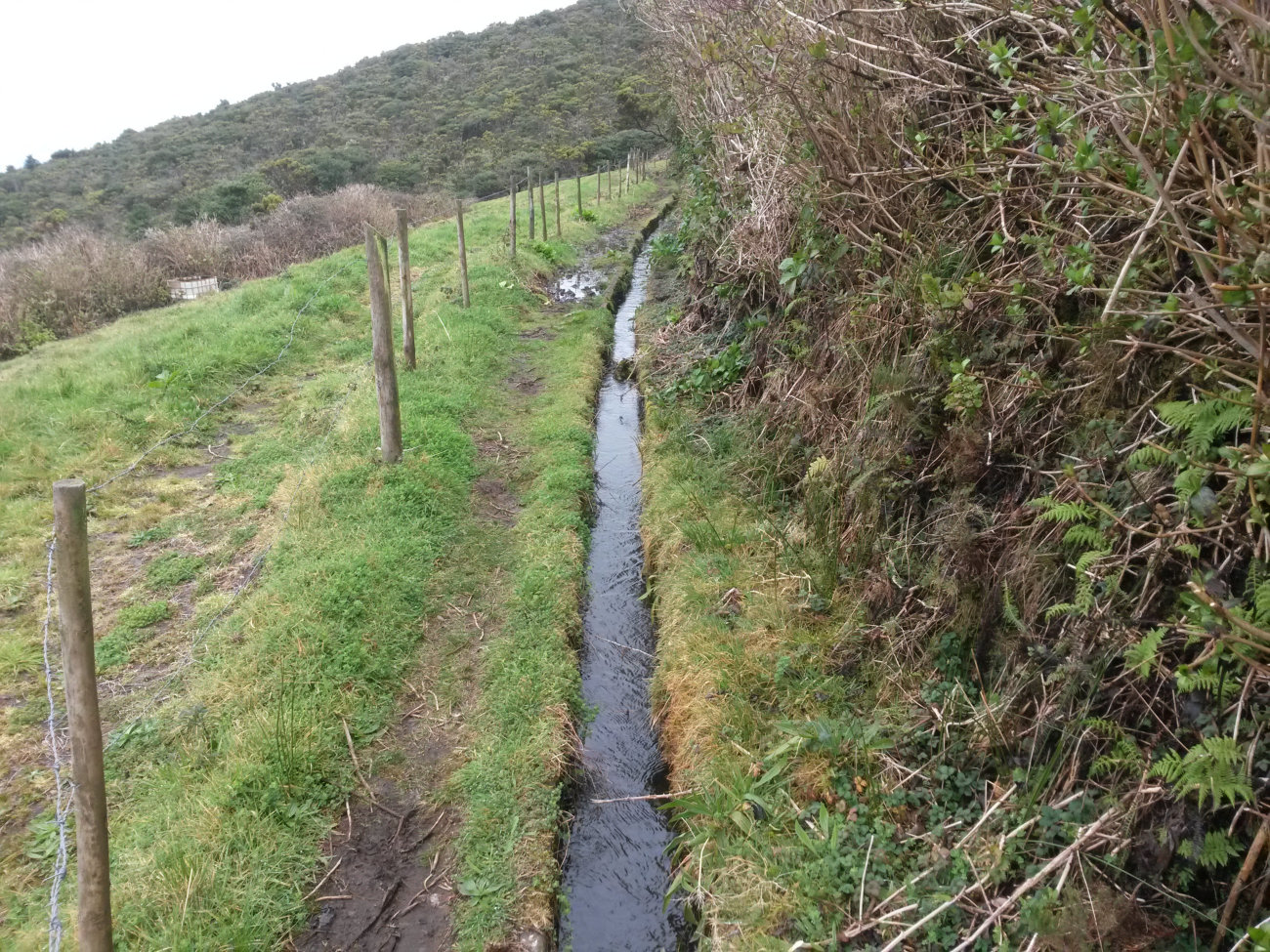 Levada 2 Faial