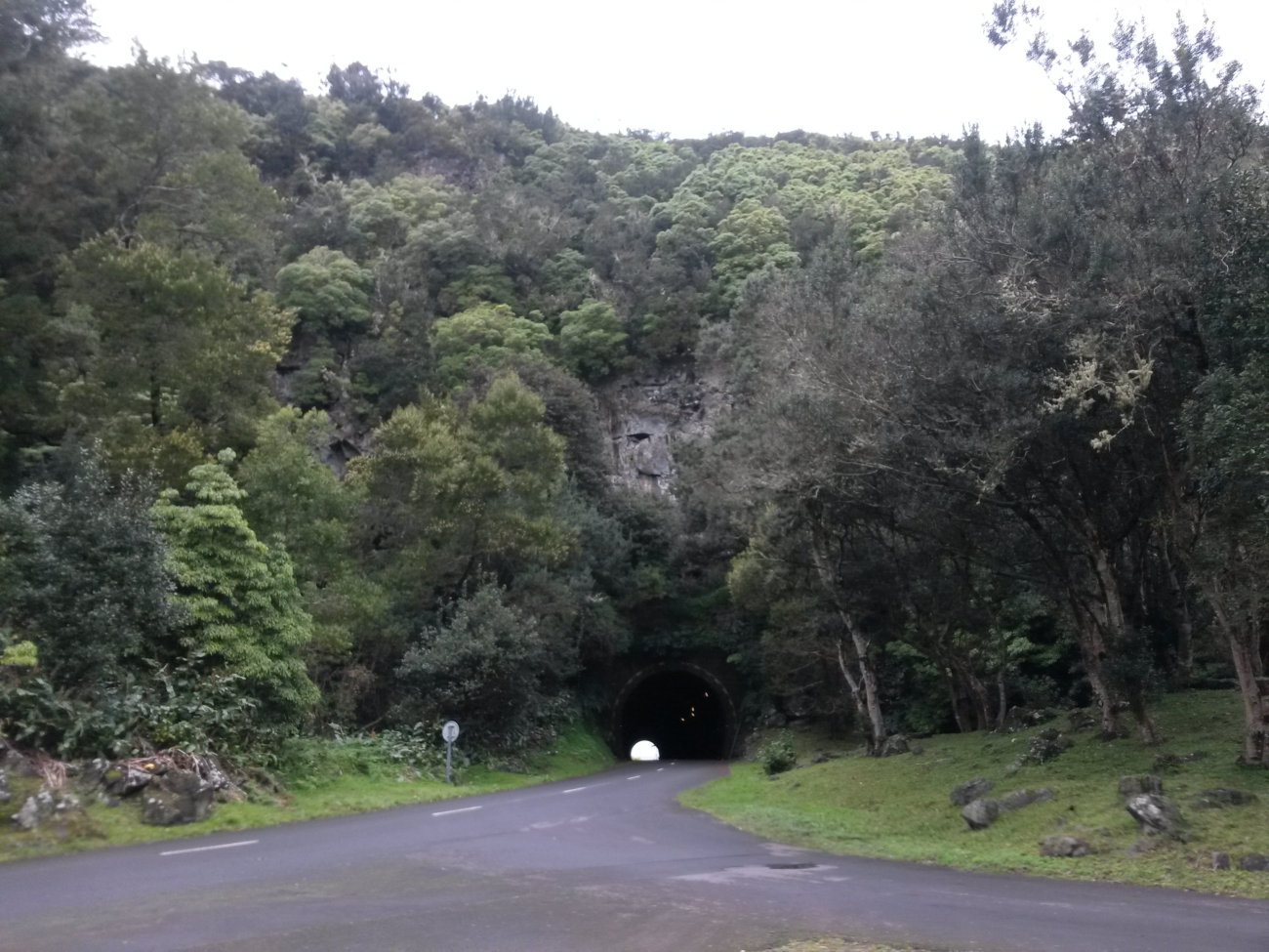 Autotunnel