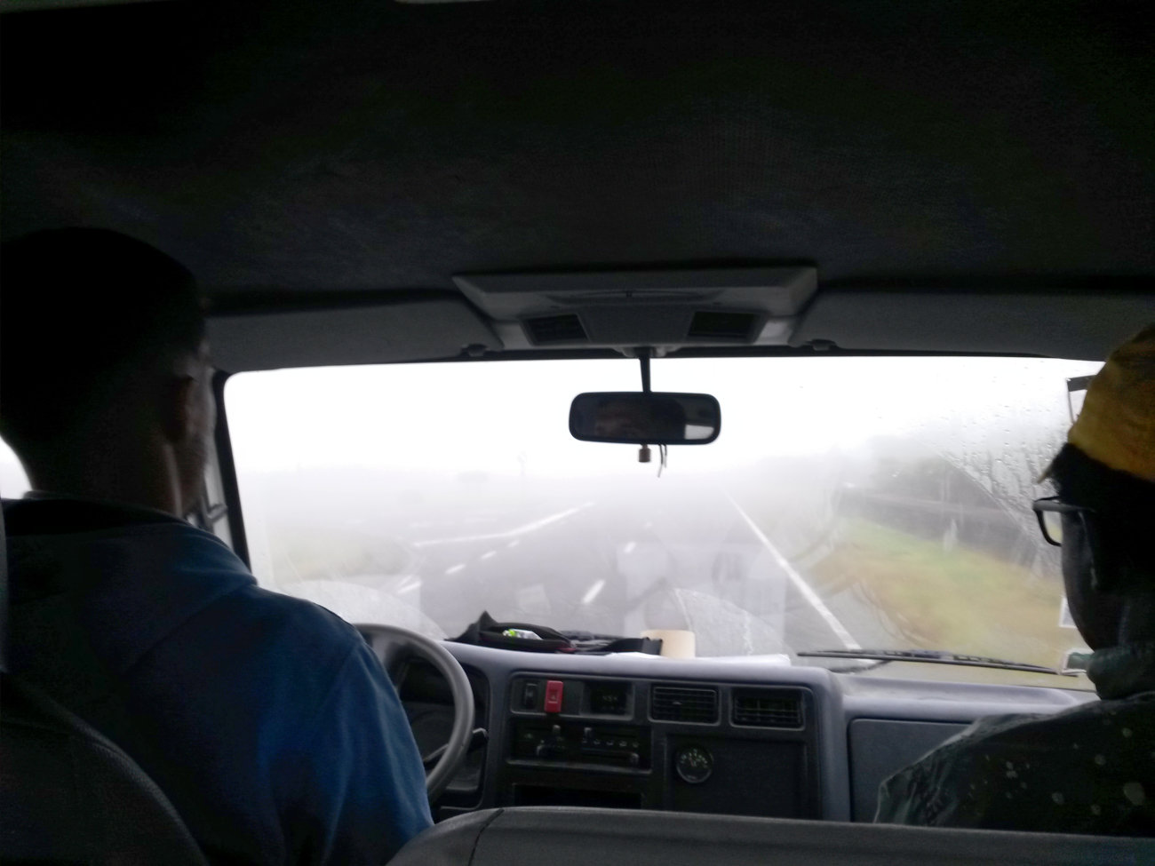 Pico im Auto
