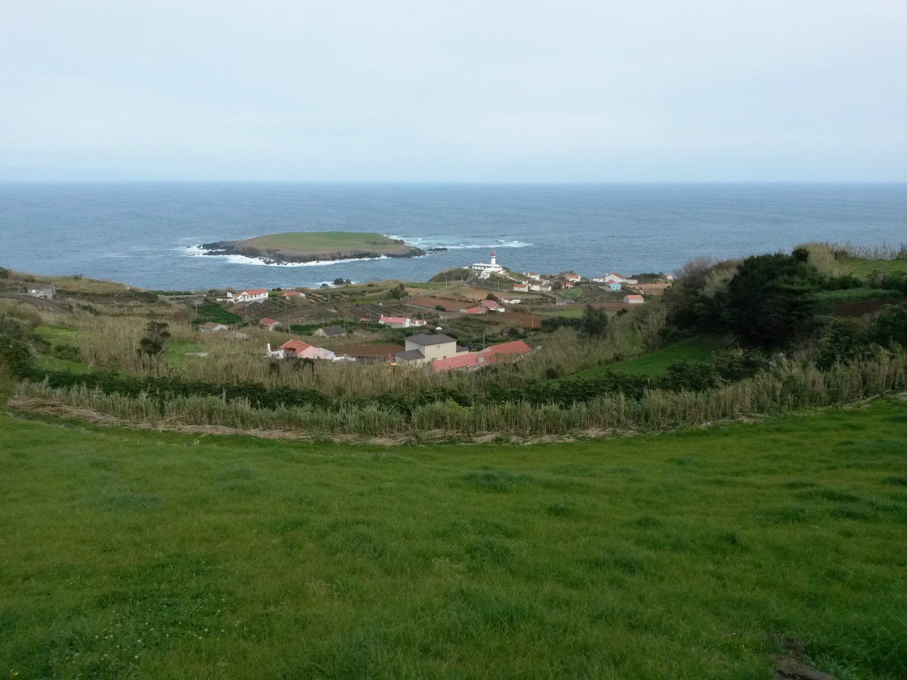 Insel Topo