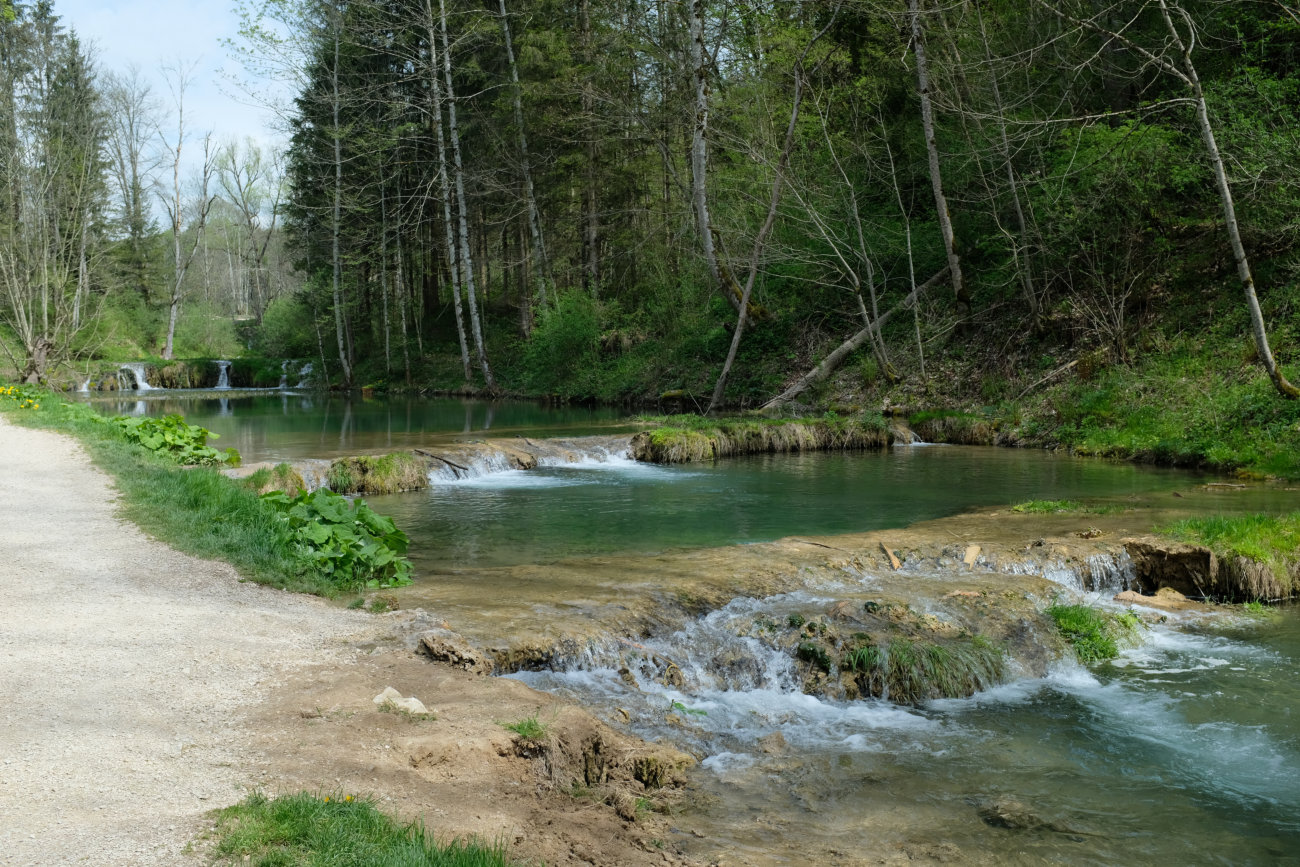 Fischteiche