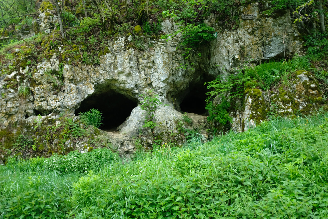 Ochsenlöcher