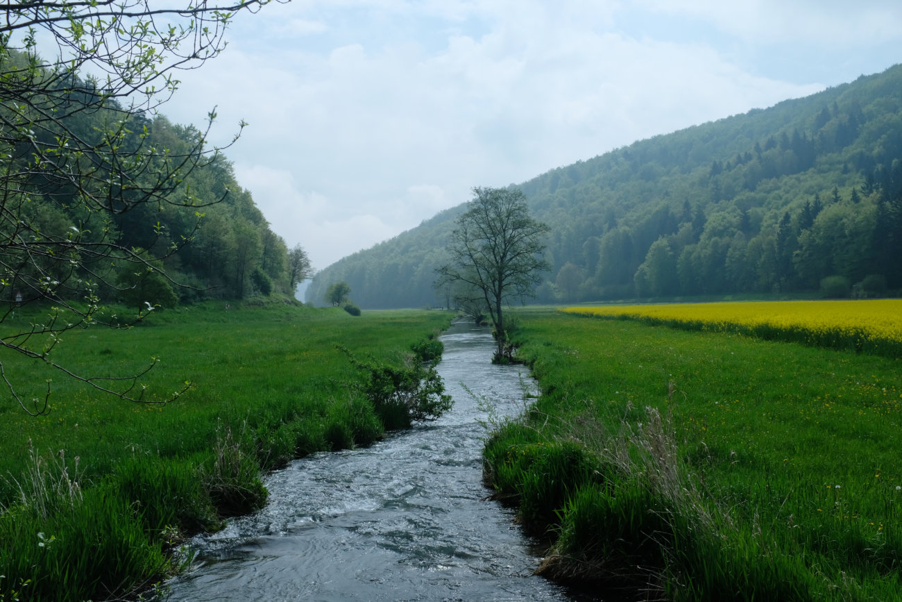 Schmiech