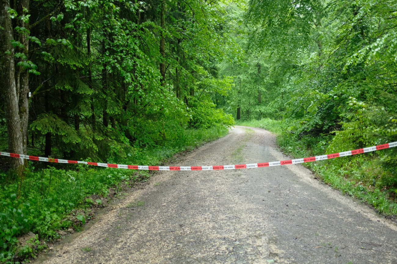 Baumfällarbeiten