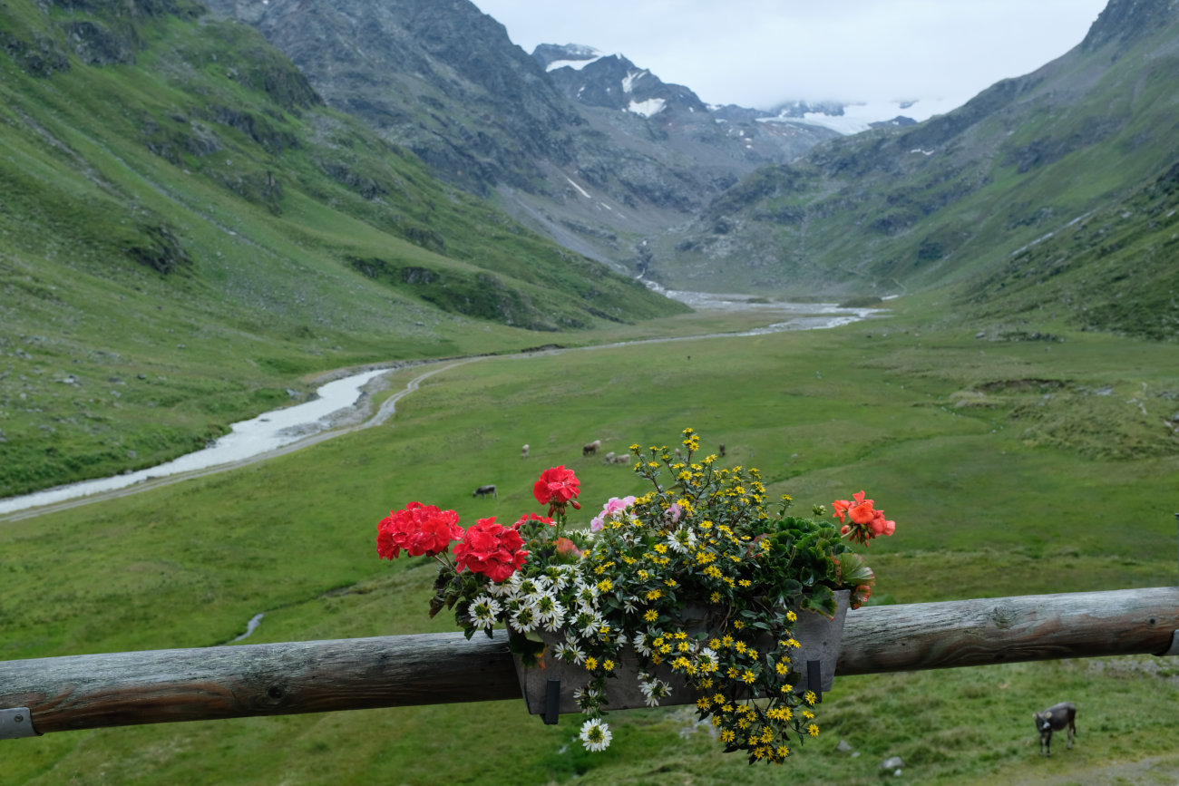 Blumenkasten
