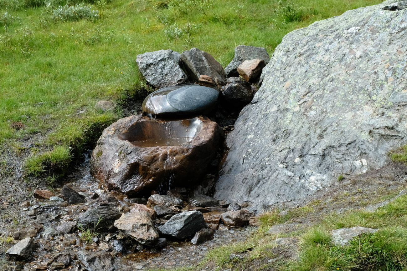 Schuessel