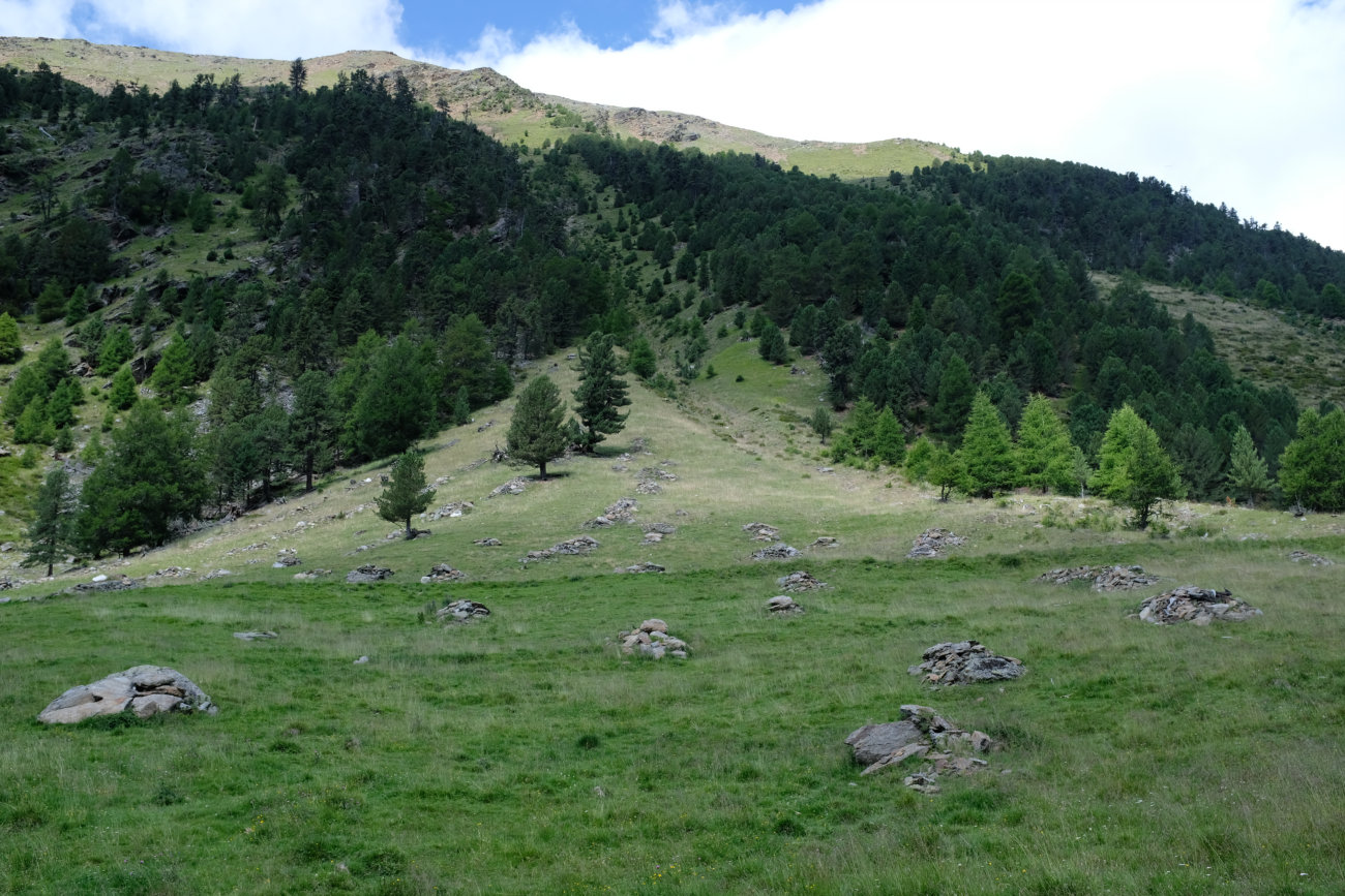 Steinhaufen