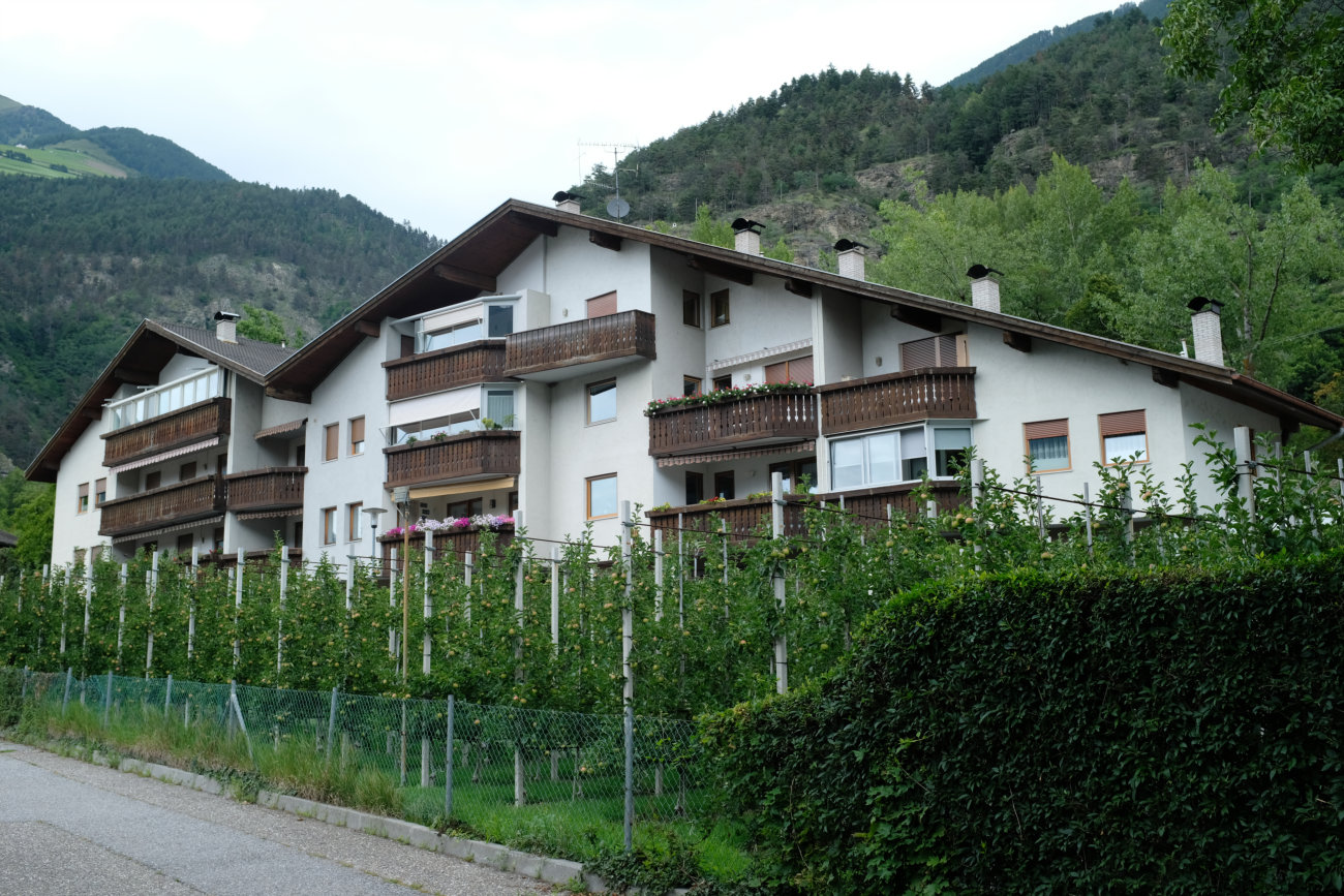 Stadtplantagen