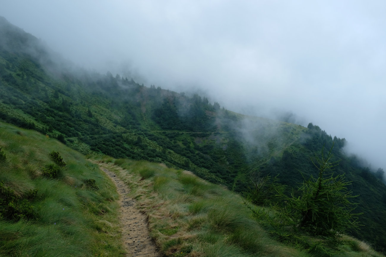 Weg im Nebel