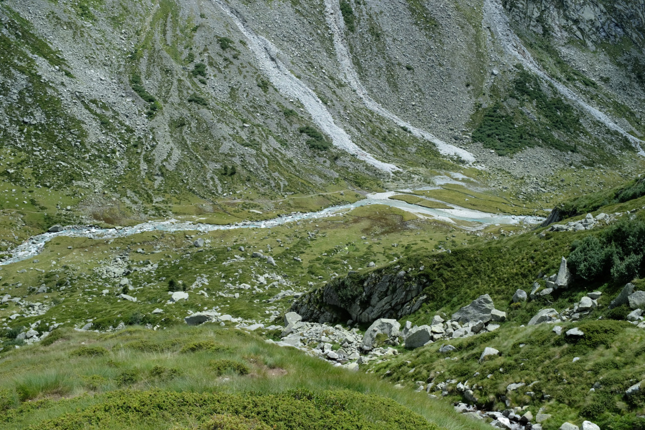 grünes Zelt