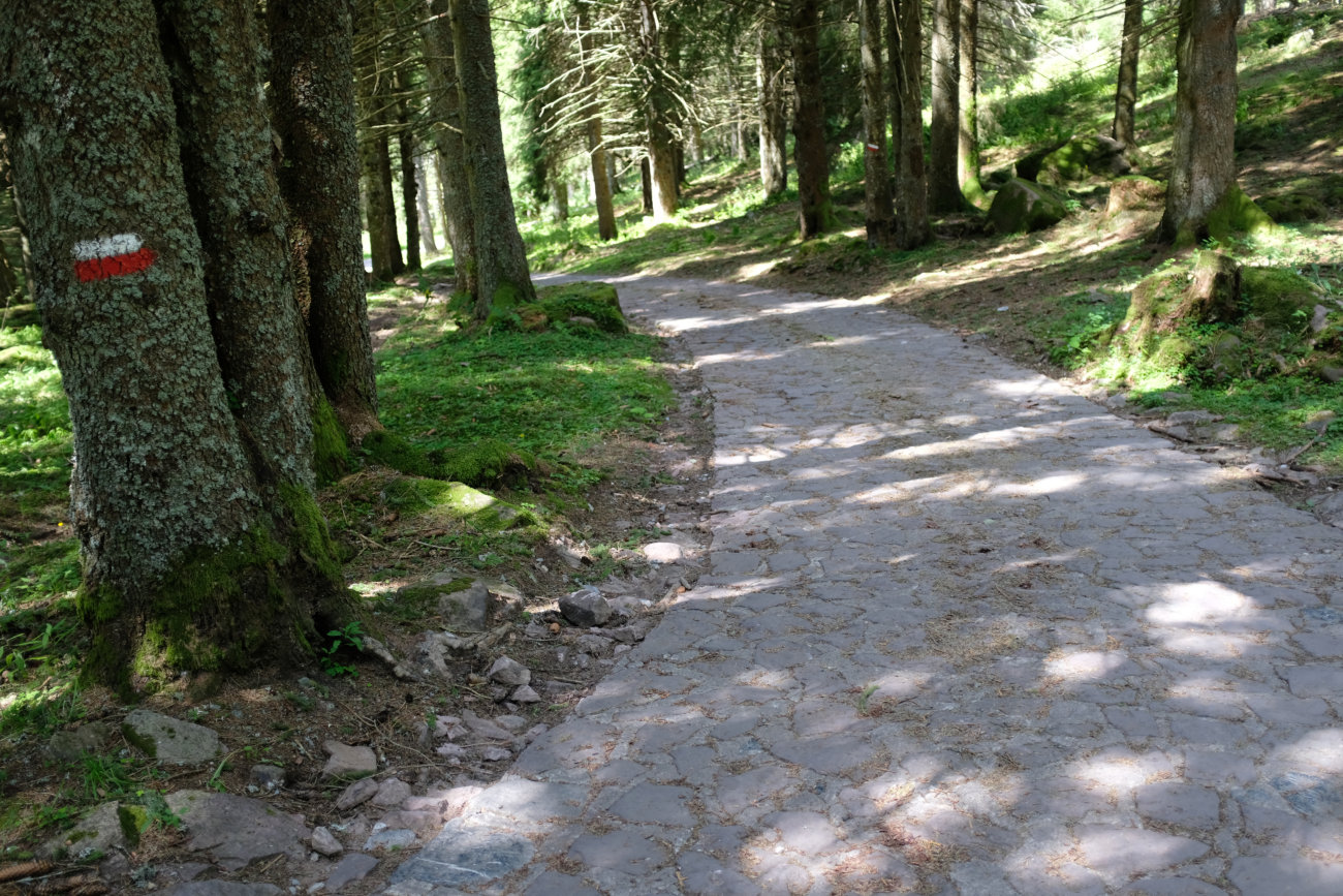 Fahrweg