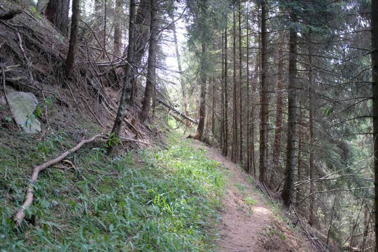 Waldbruch