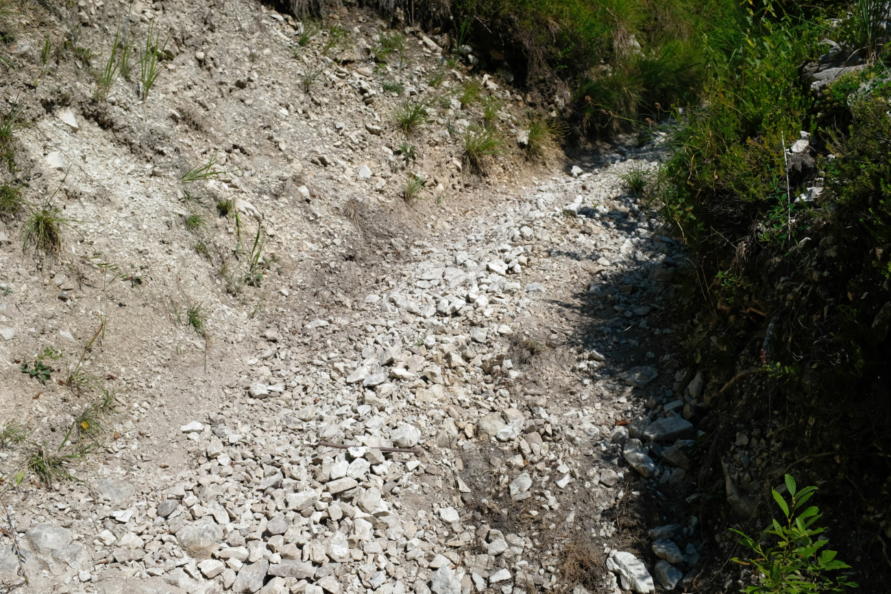 Kiesweg