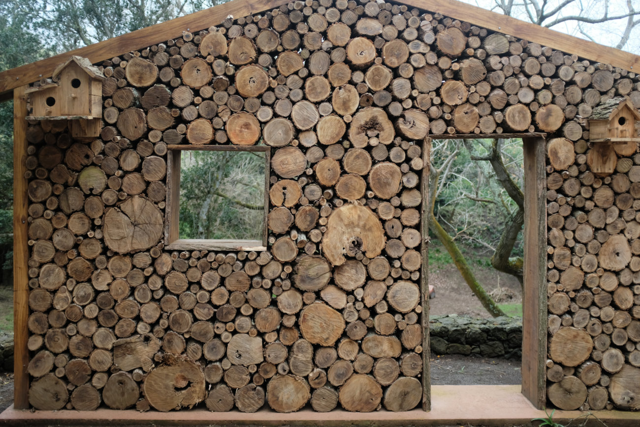 Holzhaus