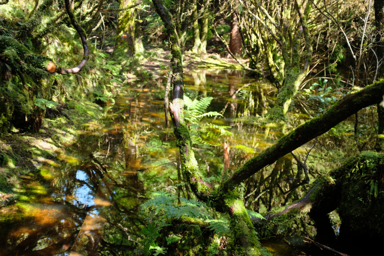 Bohlen unter Wasser