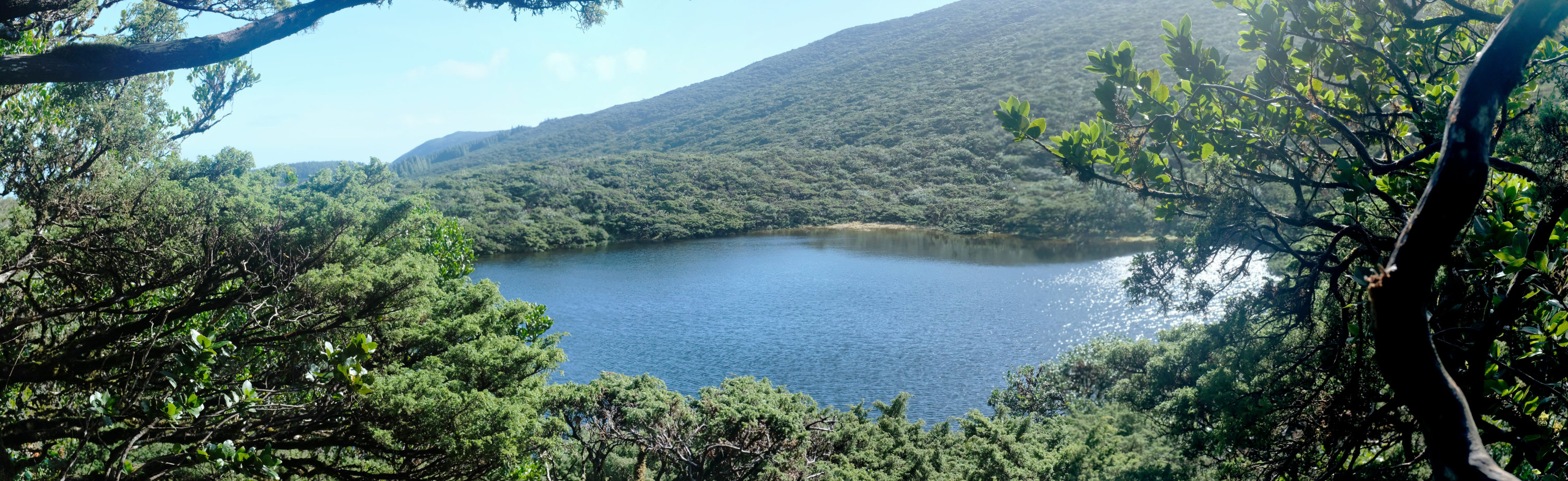 Lagoinha