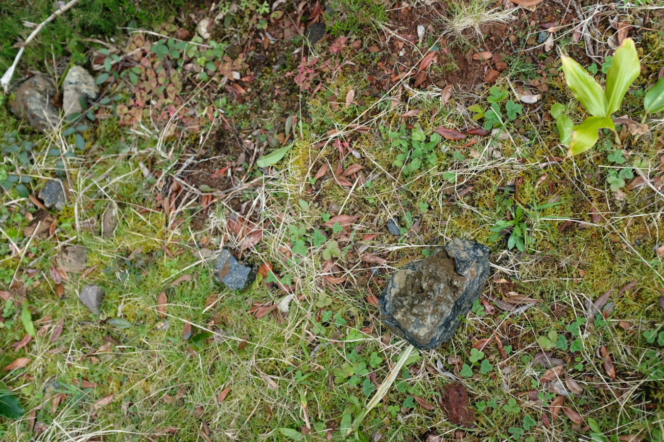 Obsidian-Brocken
