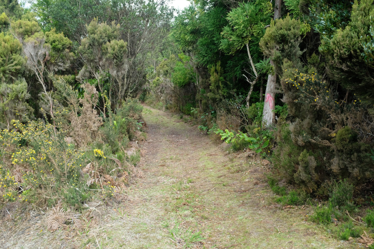 Eingang Kammweg