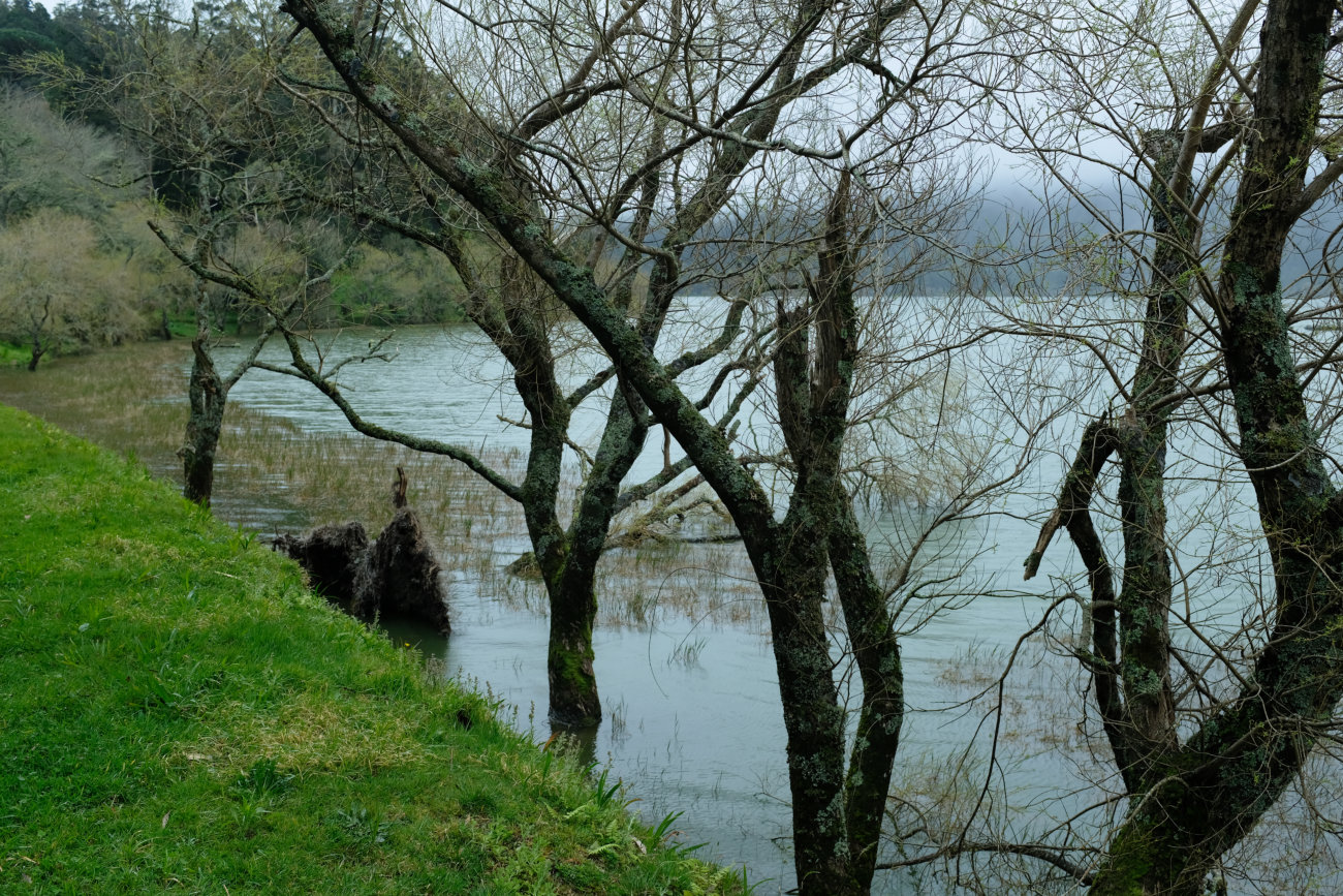 Ufer