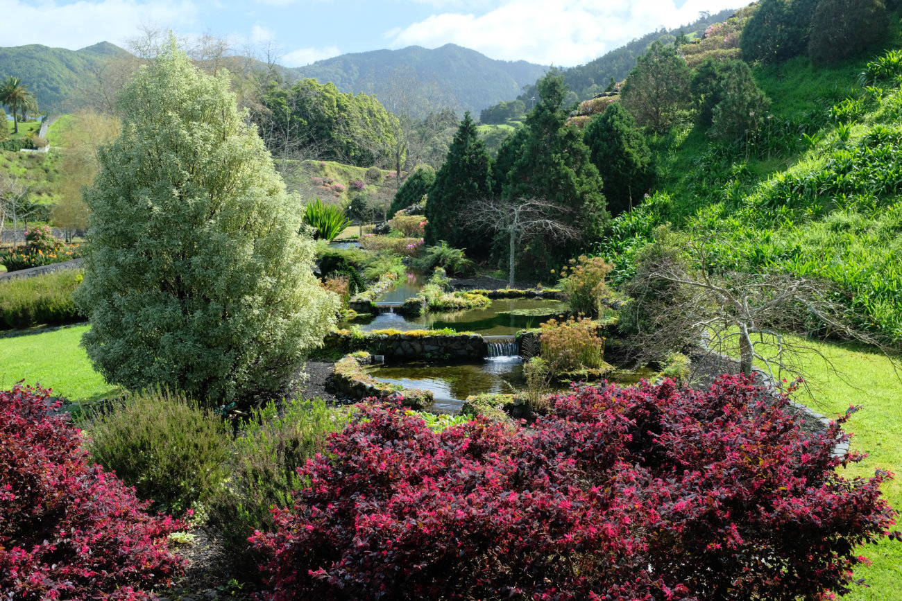 Teich-Garten