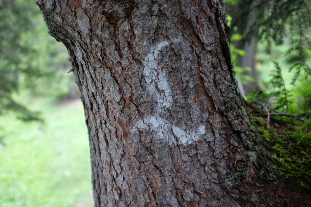 Lechquellenweg-Markierung