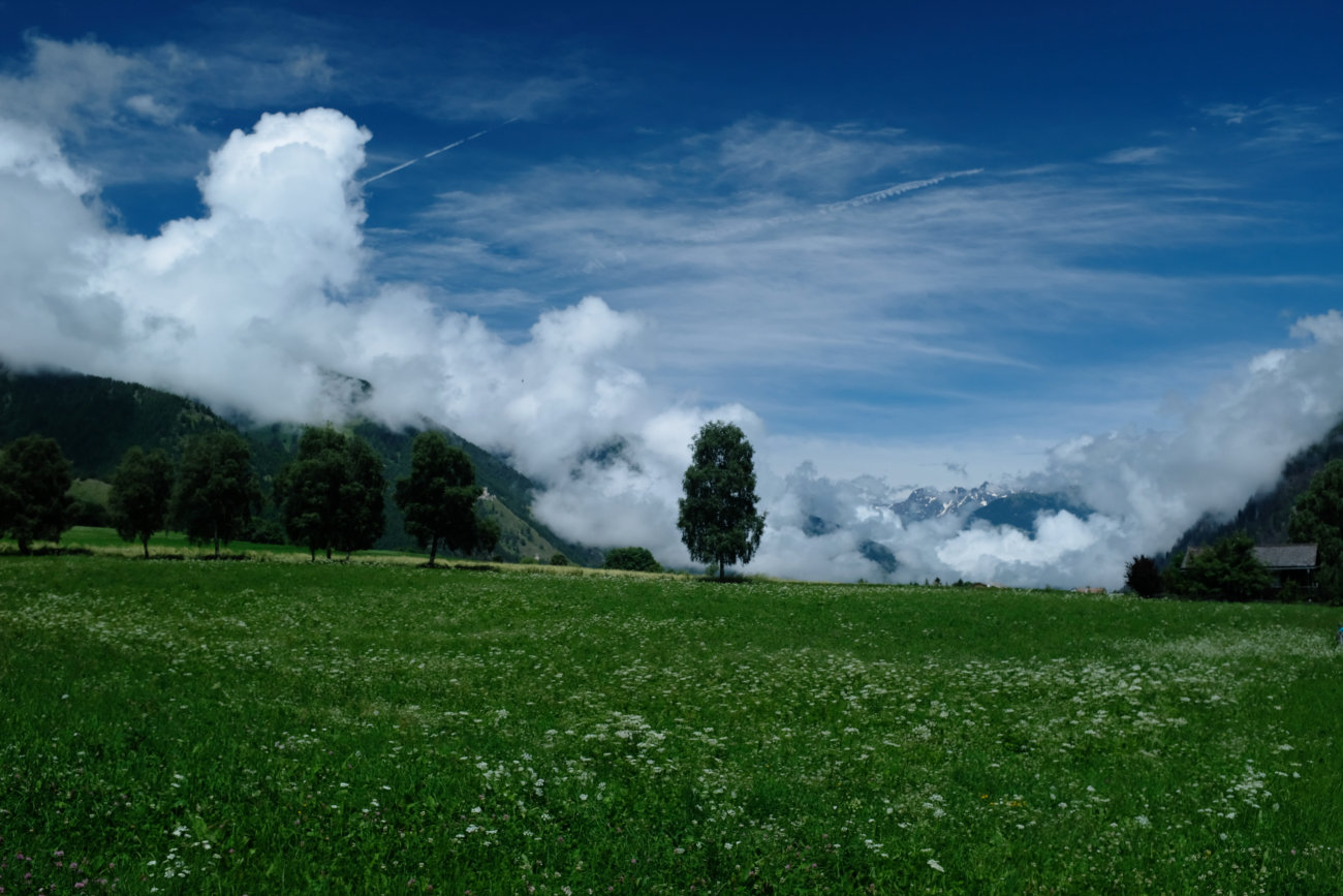 Wolkenwiese