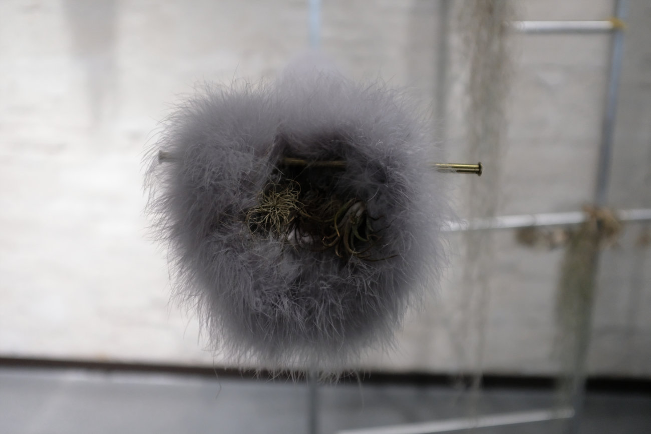 Donata Lazzarini - le gru e le cicogne, Detail