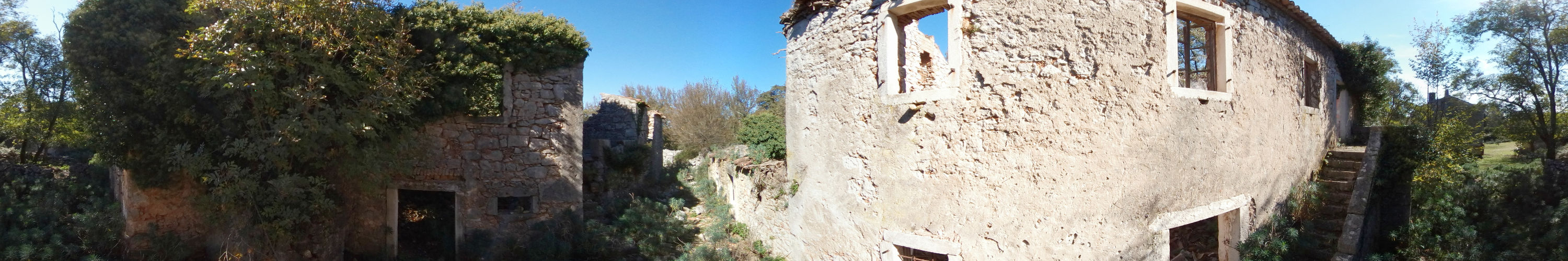 Panorama in Druck-Ausgabe