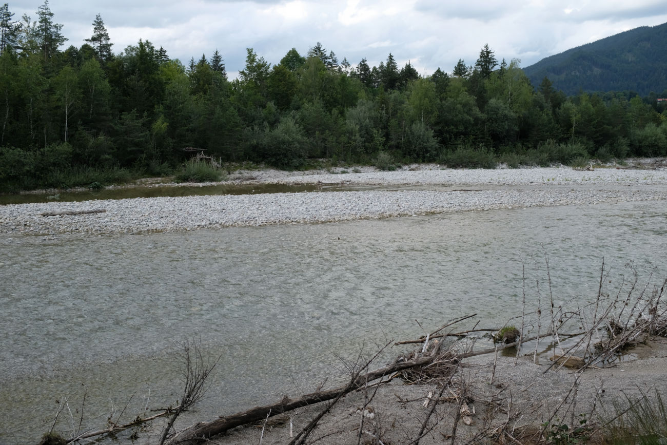 Isar