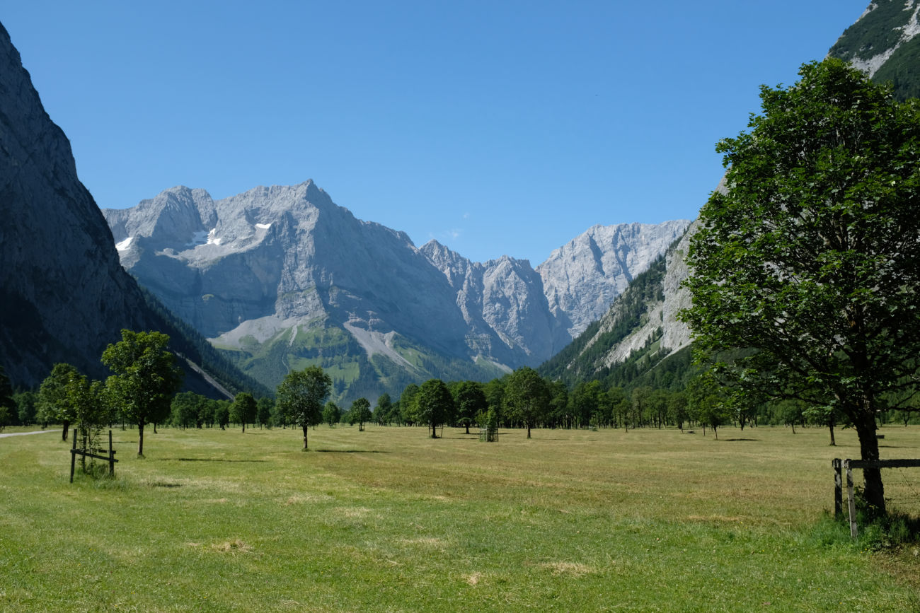 gro&szlig;er Ahormboden